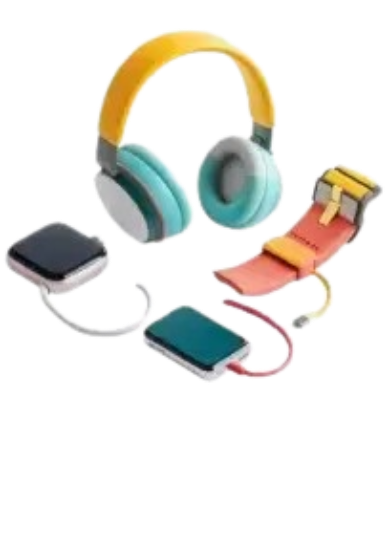 Electronic Accessories