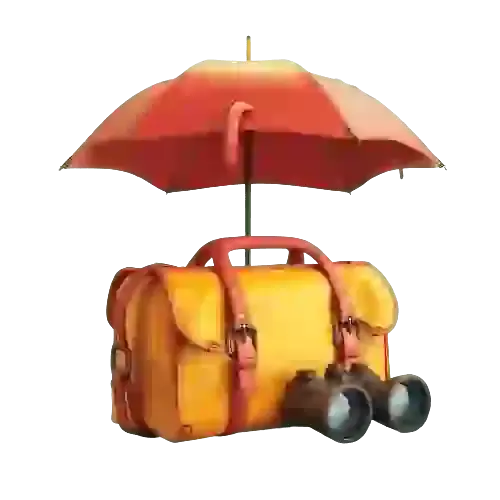 Travel Accessories